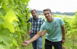 images/Fotos/Firmenportraits/Biobeerenraess/thumbs//Raess-Gebrueder-5953-54.jpg