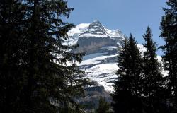 images/Fotos/Natur/Alpen/thumbs//Alpen-Jungfau_9778.jpg