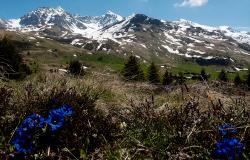 images/Fotos/Natur/Alpen/thumbs//Alpflix_DSC0403.jpg