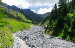 images/Fotos/Natur/Alpen/thumbs//Nationalpark_DSC0205.jpg