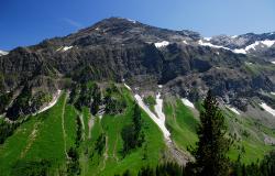 images/Fotos/Natur/Alpen/thumbs//alpen-farbspektrum.jpg