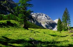 images/Fotos/Natur/Alpen/thumbs//alpenwelt-farbspektrum.jpg