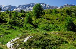 images/Fotos/Natur/Alpen/thumbs//farbspektrum-Landschaft.jpg