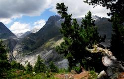 images/Fotos/Natur/Alpen/thumbs//farbspektrum-aletschregion.jpg