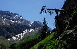 images/Fotos/Natur/Alpen/thumbs//farbspektrum-lenk-alpen.jpg