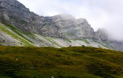 images/Fotos/Natur/Alpen/thumbs//farbspektrum-melchseefrutt.jpg
