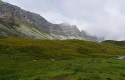 images/Fotos/Natur/Alpen/thumbs//felsen-DSC_8557.jpg