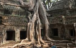 images/Fotos/Reisen/Kambodscha/thumbs//Angkor-Wat-11.jpg
