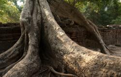 images/Fotos/Reisen/Kambodscha/thumbs//Angkor-Wat-2.jpg