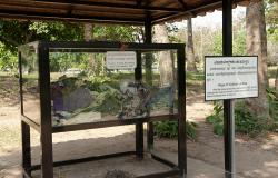 images/Fotos/Reisen/Kambodscha/thumbs//farbspektrum-killingfields-tode.jpg