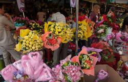 images/Fotos/Reisen/Kambodscha/thumbs//farbspektrum-rosenmarkt.jpg