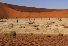 images/Fotos/Reisen/Namibia/thumbs/farbspektrum-Sossusvlei-Deadvlei-Baeume-1.jpg