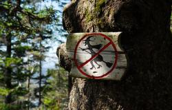 images/Fotos/Reisen/Norwegen/thumbs//farbspektrum-hexentafel.jpg