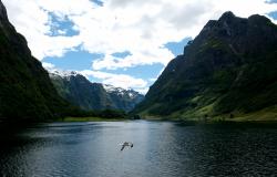 images/Fotos/Reisen/Norwegen/thumbs//farbspektrum-naturfotografie-Aurlandsfjord.jpg